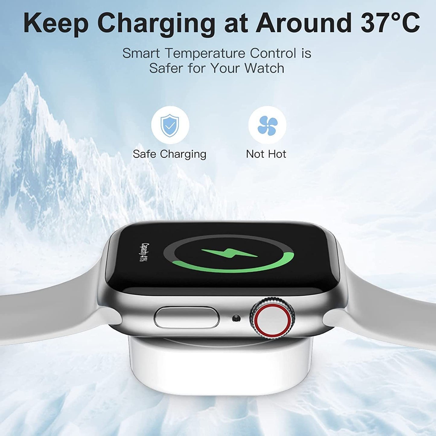 Apple watch charger (usb C)